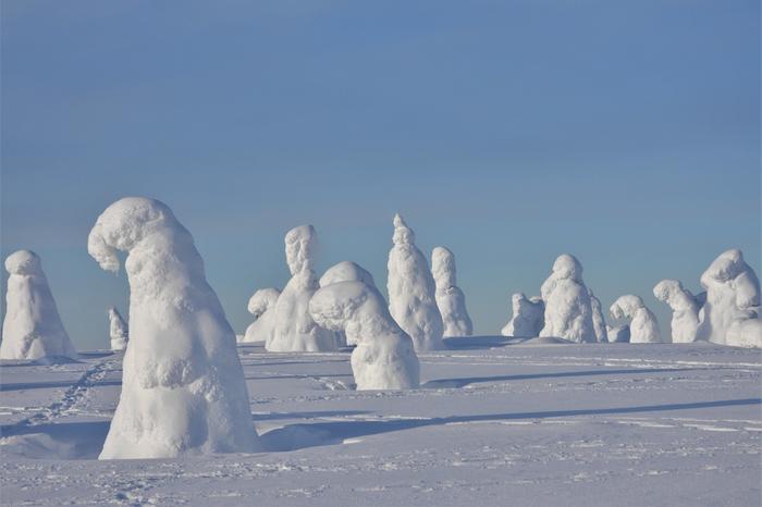 Lunta Riisitunturilla helmikuussa 2020.